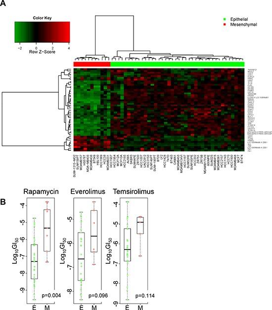 https://cdn.ncbi.nlm.nih.gov/pmc/blobs/39d2/4637301/ab98ae6cafc8/oncotarget-06-19500-g002.jpg