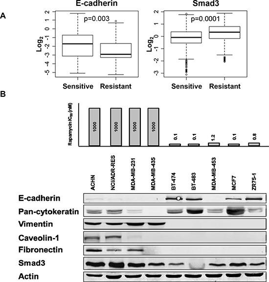 https://cdn.ncbi.nlm.nih.gov/pmc/blobs/39d2/4637301/e9780a65d362/oncotarget-06-19500-g001.jpg