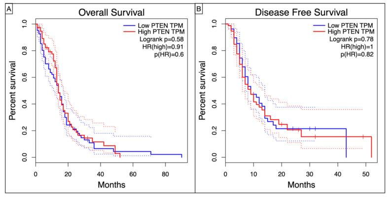 https://cdn.ncbi.nlm.nih.gov/pmc/blobs/39d4/9029006/f65082c280d3/brainsci-12-00501-g004.jpg