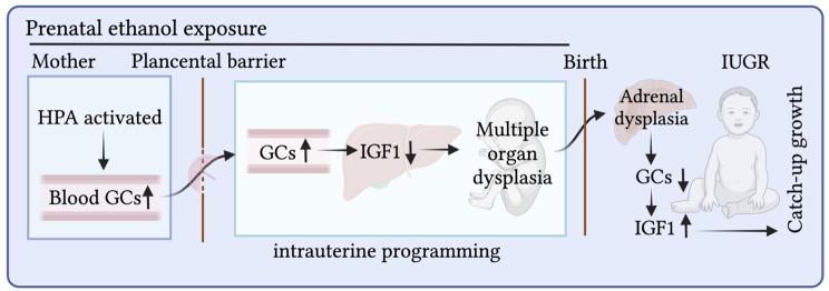 https://cdn.ncbi.nlm.nih.gov/pmc/blobs/39f9/10656939/78d64220377d/40659_2023_473_Fig1_HTML.jpg
