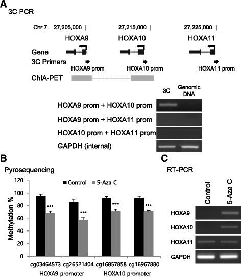 https://cdn.ncbi.nlm.nih.gov/pmc/blobs/39ff/5525292/e1abd07619c6/13148_2017_373_Fig3_HTML.jpg