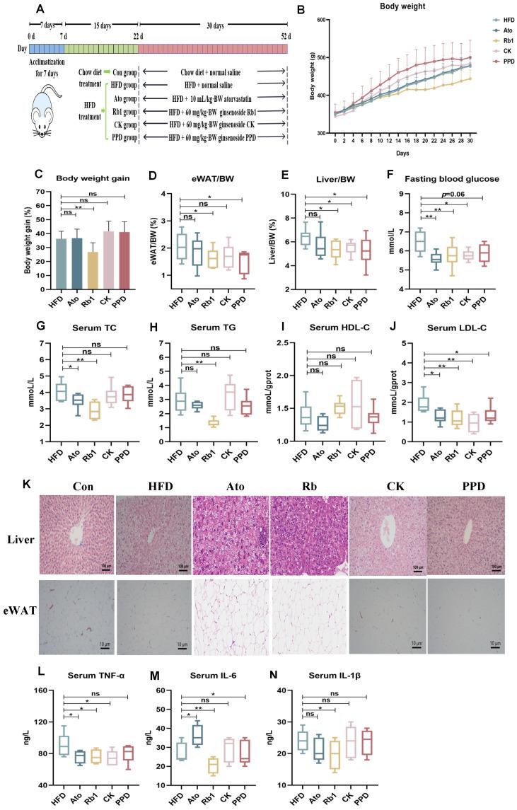 https://cdn.ncbi.nlm.nih.gov/pmc/blobs/3a0c/10934602/327628f7755c/molecules-29-01108-g001.jpg