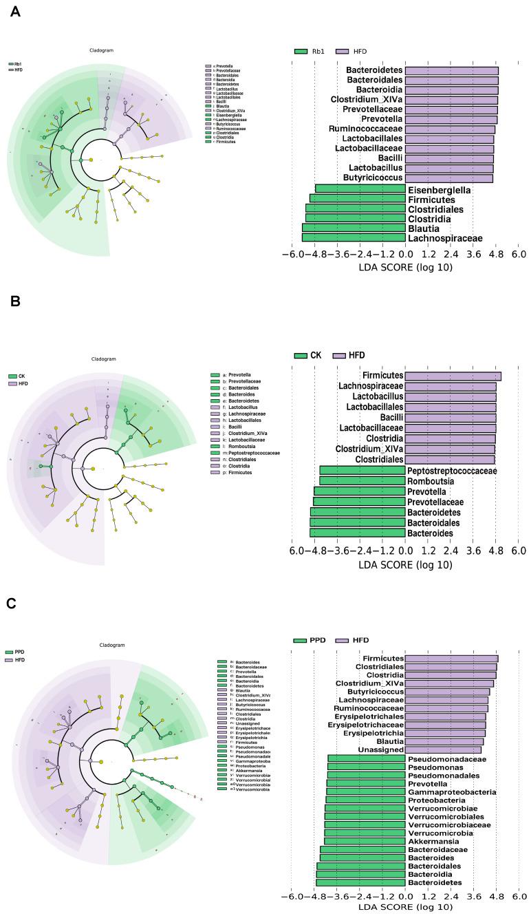 https://cdn.ncbi.nlm.nih.gov/pmc/blobs/3a0c/10934602/7071a2dba8a3/molecules-29-01108-g003.jpg