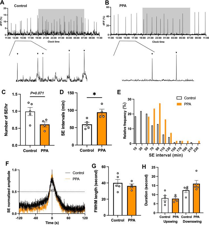 https://cdn.ncbi.nlm.nih.gov/pmc/blobs/3a23/11703500/1f6dc9af7916/elife-97179-fig1.jpg