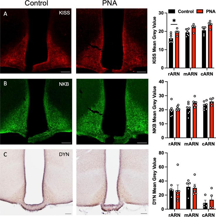 https://cdn.ncbi.nlm.nih.gov/pmc/blobs/3a23/11703500/384872464deb/elife-97179-fig2-figsupp1.jpg