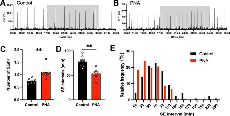 https://cdn.ncbi.nlm.nih.gov/pmc/blobs/3a23/11703500/3eee801042a7/elife-97179-fig6.jpg