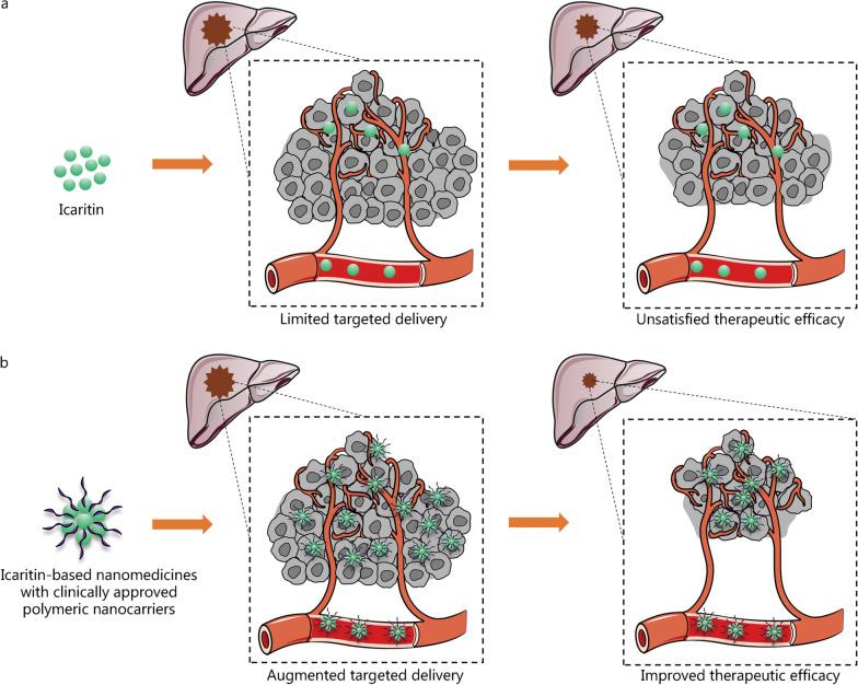 https://cdn.ncbi.nlm.nih.gov/pmc/blobs/3a30/9743634/088a994e7f8a/40779_2022_433_Fig4_HTML.jpg