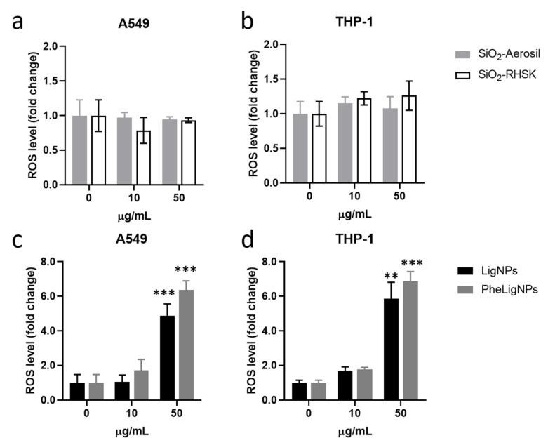 https://cdn.ncbi.nlm.nih.gov/pmc/blobs/3a42/11990304/9d18e895b73a/nanomaterials-15-00549-g004.jpg