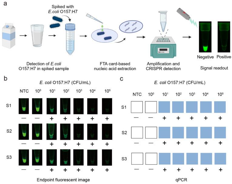 https://cdn.ncbi.nlm.nih.gov/pmc/blobs/3a54/12025128/1a993b39f391/biosensors-15-00230-g004.jpg