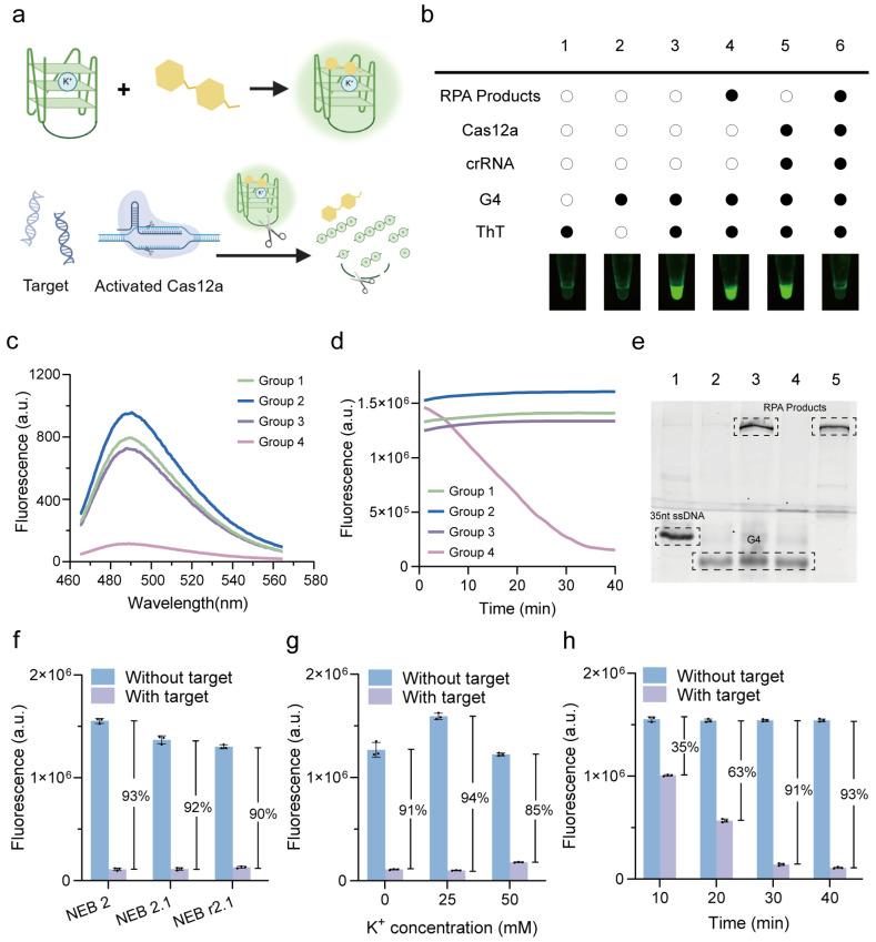 https://cdn.ncbi.nlm.nih.gov/pmc/blobs/3a54/12025128/7f5c8f814922/biosensors-15-00230-g002.jpg