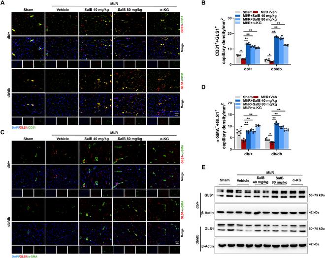 https://cdn.ncbi.nlm.nih.gov/pmc/blobs/3a62/12095913/aebcbfad0af4/research.0706.fig.006.jpg