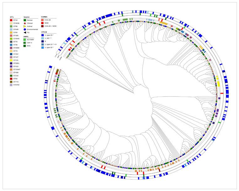 https://cdn.ncbi.nlm.nih.gov/pmc/blobs/3a80/12291717/a282c01e5355/antibiotics-14-00706-g004.jpg