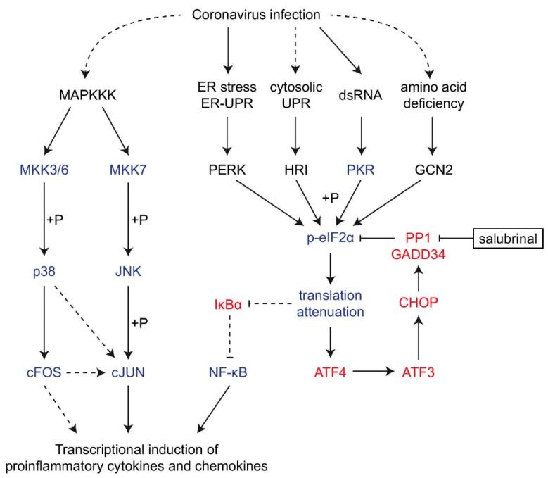 https://cdn.ncbi.nlm.nih.gov/pmc/blobs/3a86/8198748/6151d932580f/ijms-22-05646-g007.jpg