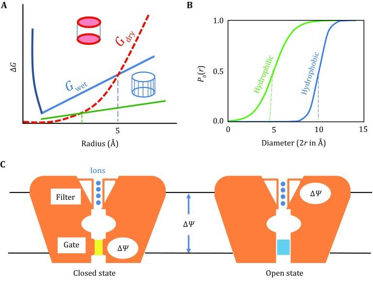https://cdn.ncbi.nlm.nih.gov/pmc/blobs/3a95/6276078/f5f85d16a961/41048_2018_74_Fig2_HTML.jpg