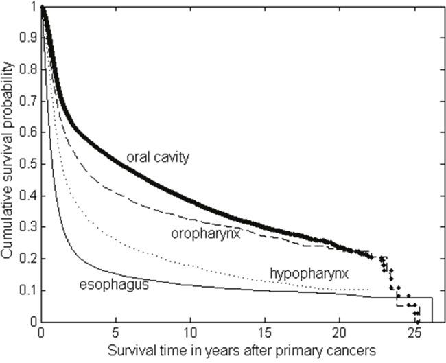 https://cdn.ncbi.nlm.nih.gov/pmc/blobs/3aa5/5546502/087a52dfac9e/oncotarget-08-44567-g002.jpg