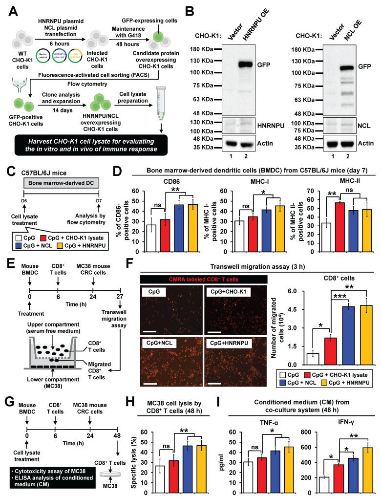 https://cdn.ncbi.nlm.nih.gov/pmc/blobs/3ae4/12068288/fd02cacc12c5/thnov15p5890g006.jpg