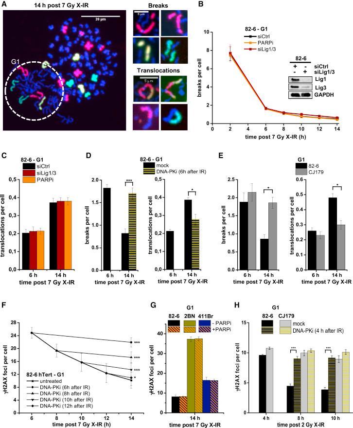 https://cdn.ncbi.nlm.nih.gov/pmc/blobs/3ae9/5316416/8643e67c7323/gr1.jpg