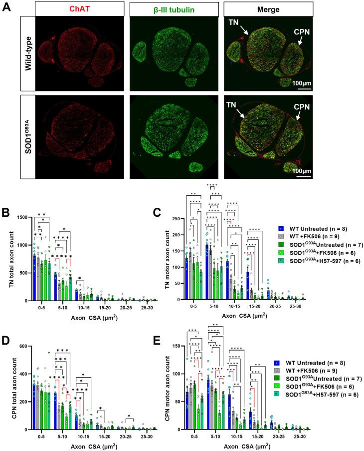 https://cdn.ncbi.nlm.nih.gov/pmc/blobs/3aec/10945574/2e0a98422502/elife-88250-fig3.jpg