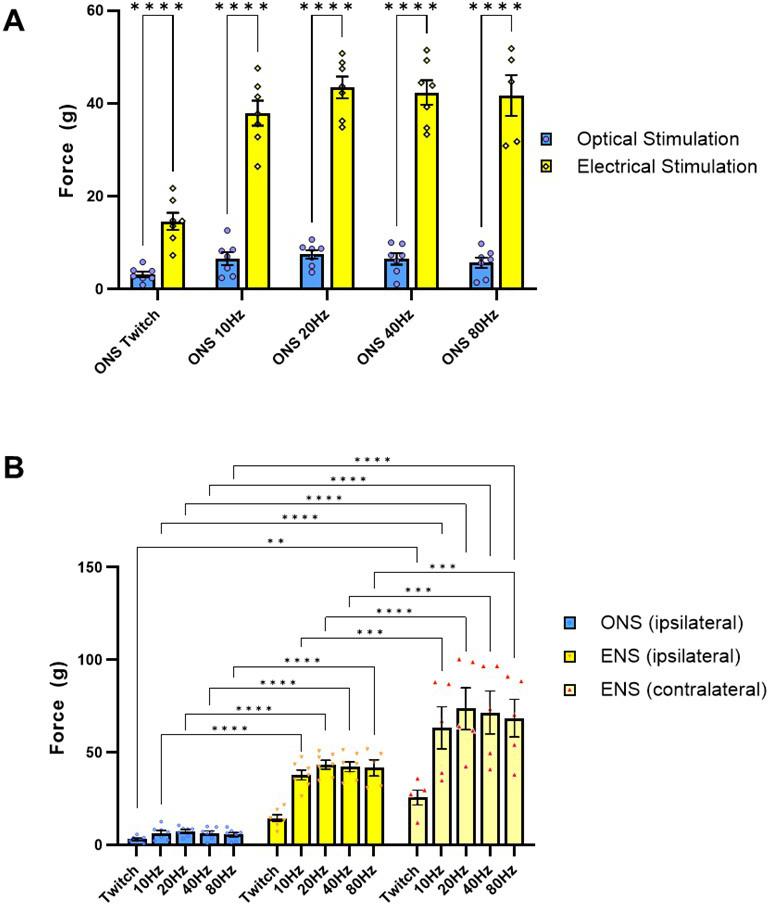 https://cdn.ncbi.nlm.nih.gov/pmc/blobs/3aec/10945574/35fb4d139b4a/elife-88250-fig5-figsupp6.jpg