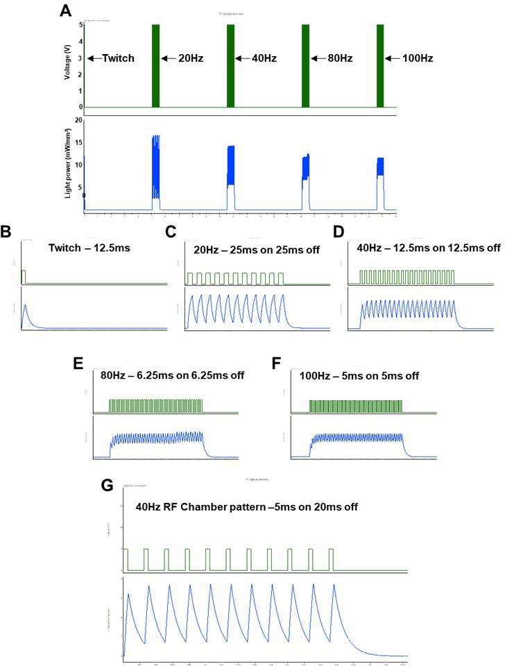 https://cdn.ncbi.nlm.nih.gov/pmc/blobs/3aec/10945574/b605356879a2/elife-88250-fig5-figsupp2.jpg