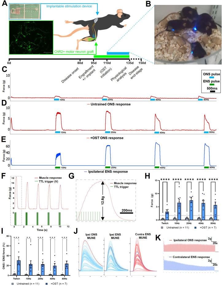 https://cdn.ncbi.nlm.nih.gov/pmc/blobs/3aec/10945574/f9848b638282/elife-88250-fig5.jpg