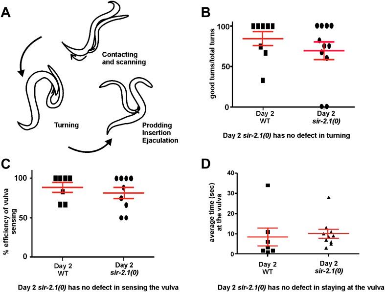 https://cdn.ncbi.nlm.nih.gov/pmc/blobs/3aee/3989601/53446f0d4289/elife01730fs002.jpg