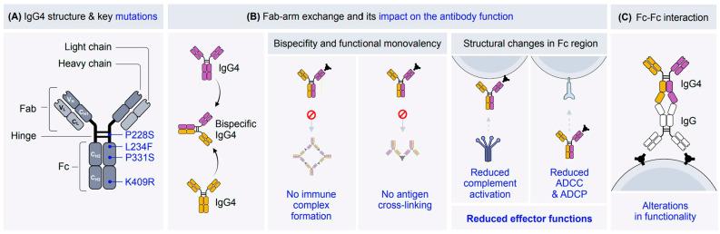 https://cdn.ncbi.nlm.nih.gov/pmc/blobs/3af7/12071442/35f7dfe840a2/cells-14-00639-g001.jpg