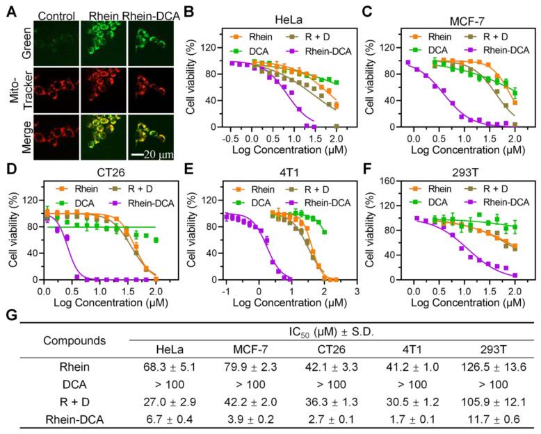 https://cdn.ncbi.nlm.nih.gov/pmc/blobs/3b0c/12036875/5b5fe1793ba6/thnov15p4909g002.jpg