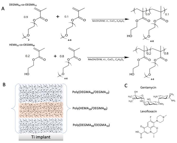 https://cdn.ncbi.nlm.nih.gov/pmc/blobs/3b0e/9823637/a22fa9e67803/polymers-15-00163-sch001.jpg
