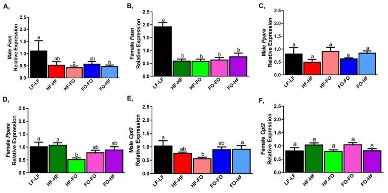 https://cdn.ncbi.nlm.nih.gov/pmc/blobs/3b14/8625698/3e1ab480e5d7/nutrients-13-03703-g007.jpg