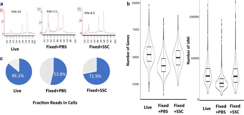 https://cdn.ncbi.nlm.nih.gov/pmc/blobs/3b2b/6050658/3a8b7d1d5b7c/12967_2018_1578_Fig4_HTML.jpg