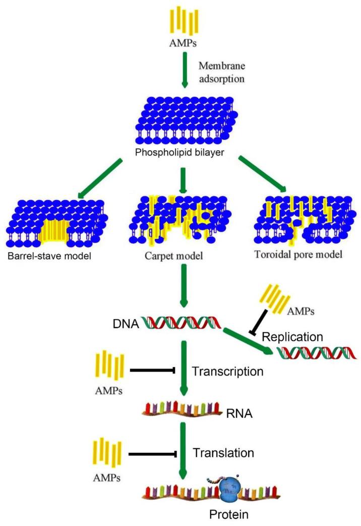 https://cdn.ncbi.nlm.nih.gov/pmc/blobs/3b2f/9607450/bae7973d279e/toxins-14-00722-g001.jpg