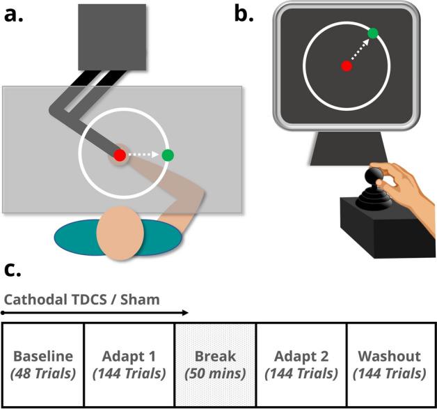 https://cdn.ncbi.nlm.nih.gov/pmc/blobs/3b33/7904798/1f902a9512d1/41598_2021_83656_Fig1_HTML.jpg