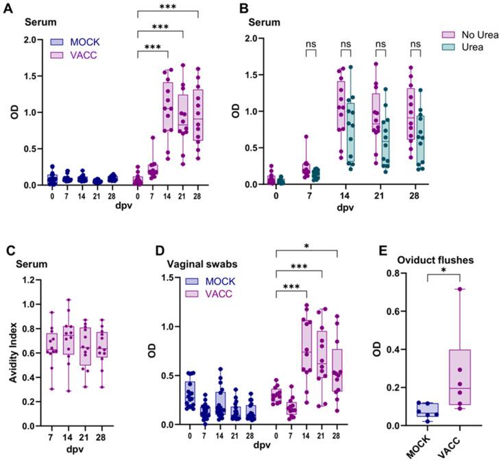 https://cdn.ncbi.nlm.nih.gov/pmc/blobs/3b4b/12115861/8cac352017fe/vaccines-13-00468-g005.jpg
