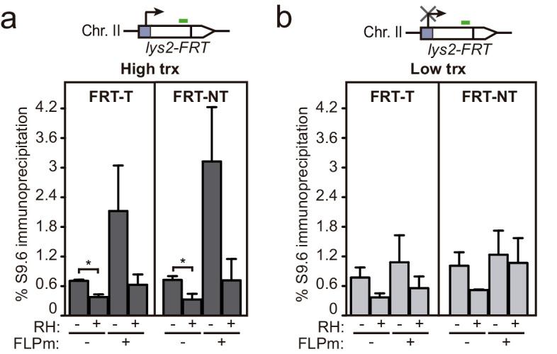 https://cdn.ncbi.nlm.nih.gov/pmc/blobs/3b65/8289408/0b6f1340474d/elife-69881-fig6-figsupp1.jpg