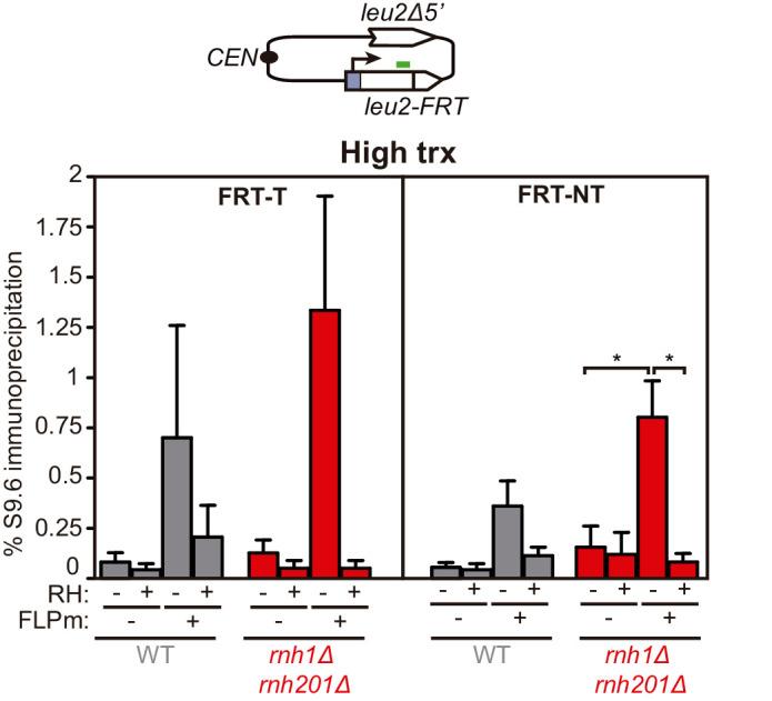https://cdn.ncbi.nlm.nih.gov/pmc/blobs/3b65/8289408/109d44337498/elife-69881-fig3-figsupp1.jpg
