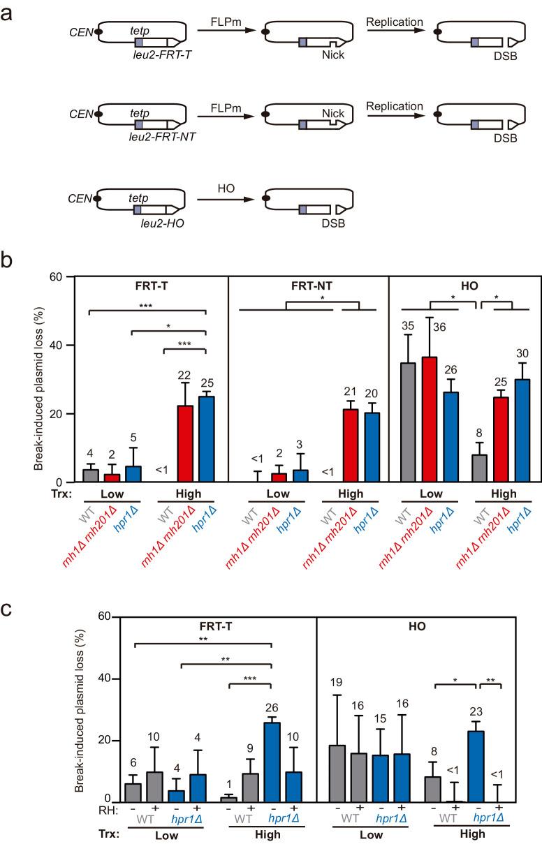 https://cdn.ncbi.nlm.nih.gov/pmc/blobs/3b65/8289408/11808ba0f3b7/elife-69881-fig1.jpg