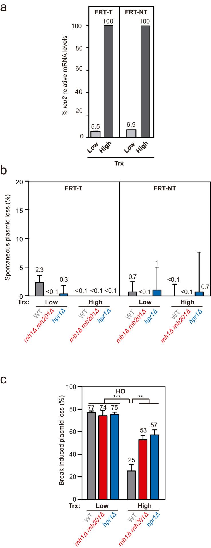https://cdn.ncbi.nlm.nih.gov/pmc/blobs/3b65/8289408/149d98280a12/elife-69881-fig1-figsupp1.jpg