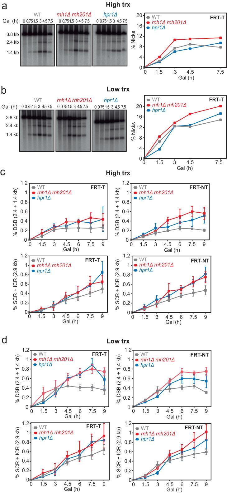 https://cdn.ncbi.nlm.nih.gov/pmc/blobs/3b65/8289408/534df3ef1988/elife-69881-fig2-figsupp1.jpg