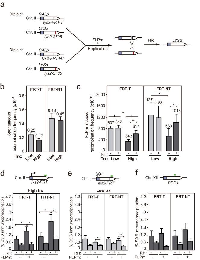 https://cdn.ncbi.nlm.nih.gov/pmc/blobs/3b65/8289408/55850fbccfda/elife-69881-fig6.jpg