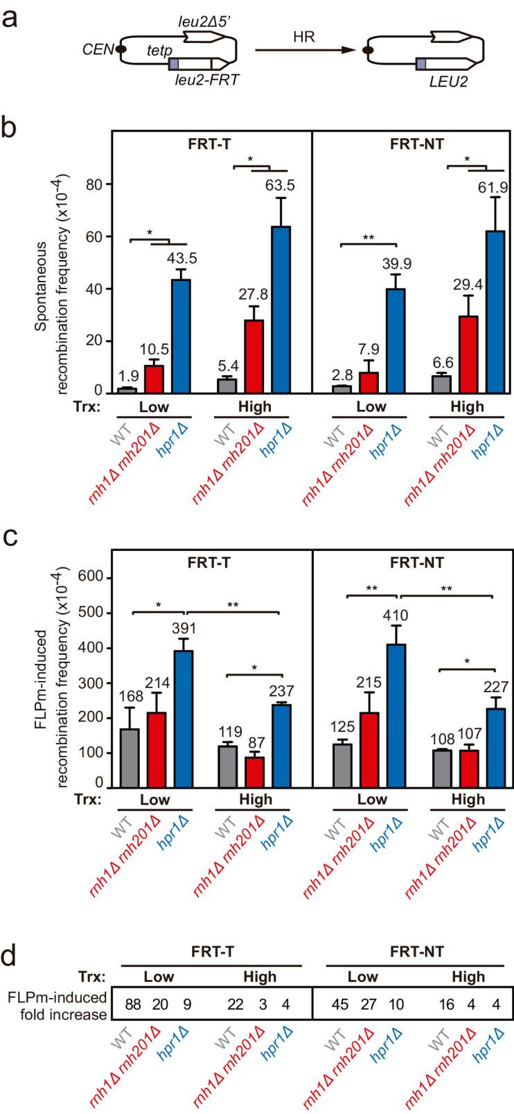 https://cdn.ncbi.nlm.nih.gov/pmc/blobs/3b65/8289408/c821a0295ead/elife-69881-fig2-figsupp2.jpg