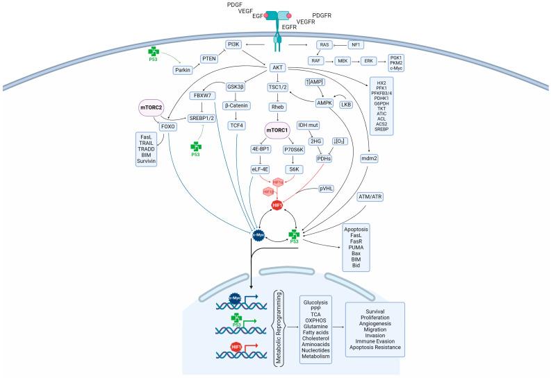 https://cdn.ncbi.nlm.nih.gov/pmc/blobs/3b85/11122955/06d6b9df5f30/metabolites-14-00249-g002.jpg