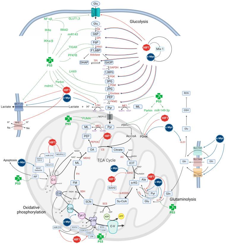https://cdn.ncbi.nlm.nih.gov/pmc/blobs/3b85/11122955/3c0f4c0c1211/metabolites-14-00249-g003.jpg