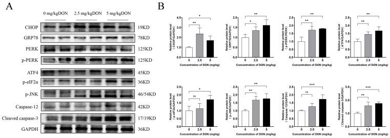 https://cdn.ncbi.nlm.nih.gov/pmc/blobs/3b96/11511314/153ccca3da58/toxins-16-00432-g003.jpg