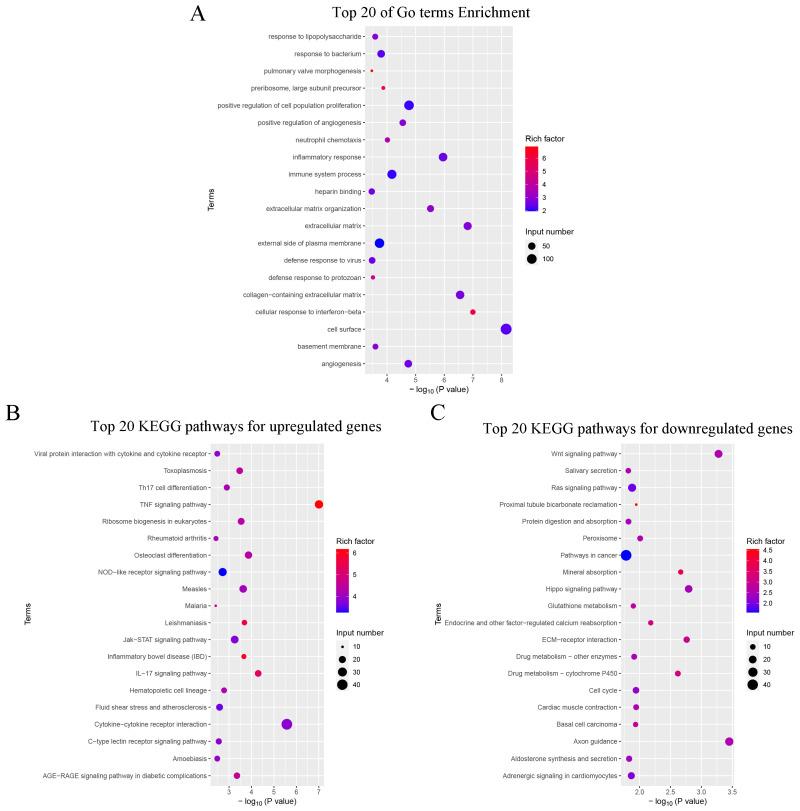 https://cdn.ncbi.nlm.nih.gov/pmc/blobs/3b96/11511314/d16f680ded0e/toxins-16-00432-g007.jpg