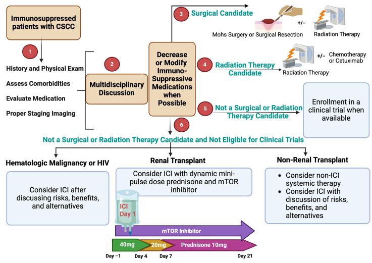 https://cdn.ncbi.nlm.nih.gov/pmc/blobs/3bad/11394667/84ed8742a385/cancers-16-03083-g003.jpg