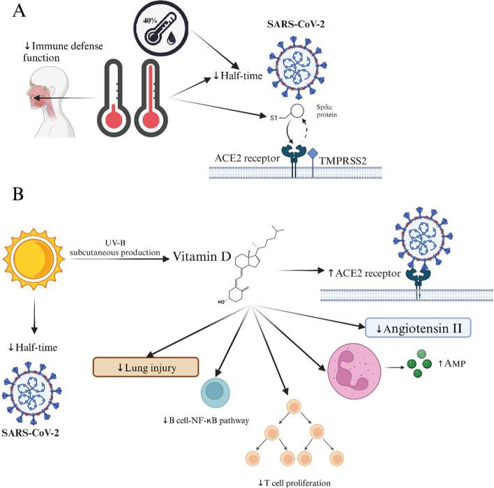 https://cdn.ncbi.nlm.nih.gov/pmc/blobs/3bb1/11321203/a4bddec6391d/12889_2024_19749_Fig1_HTML.jpg