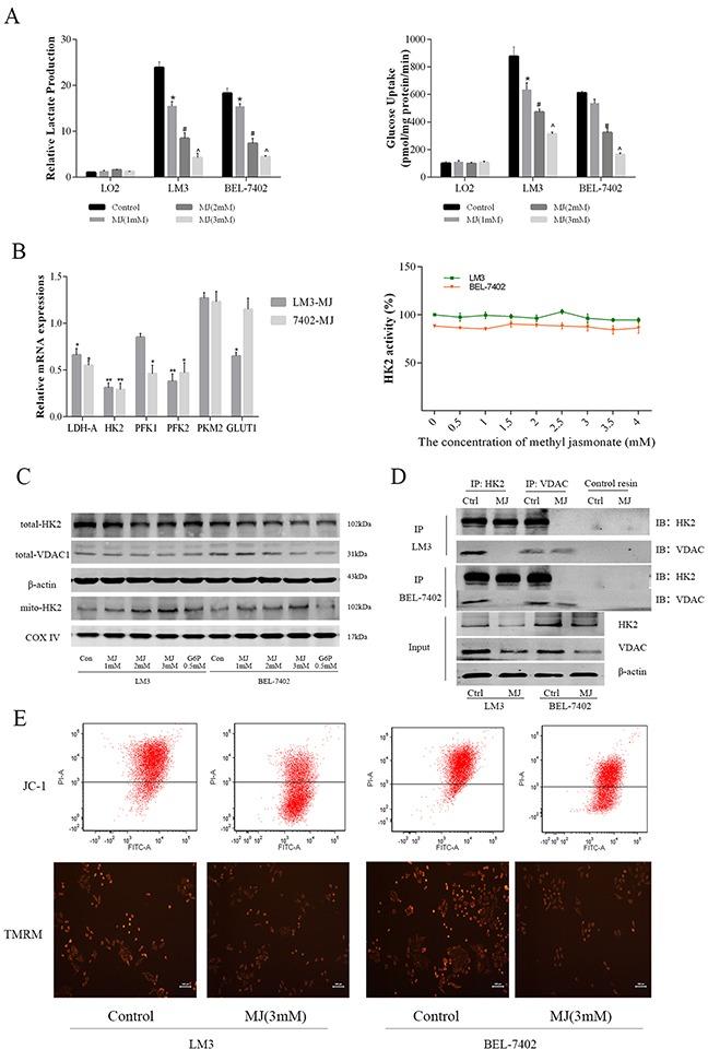 https://cdn.ncbi.nlm.nih.gov/pmc/blobs/3bbf/5542241/8a5681179406/oncotarget-08-45965-g003.jpg