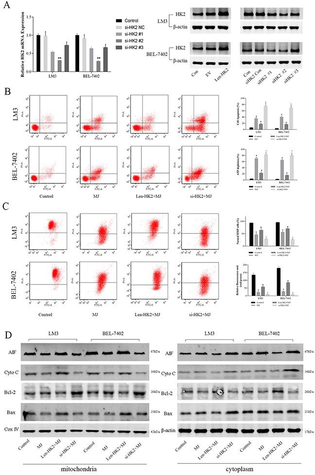 https://cdn.ncbi.nlm.nih.gov/pmc/blobs/3bbf/5542241/f003705734bc/oncotarget-08-45965-g004.jpg
