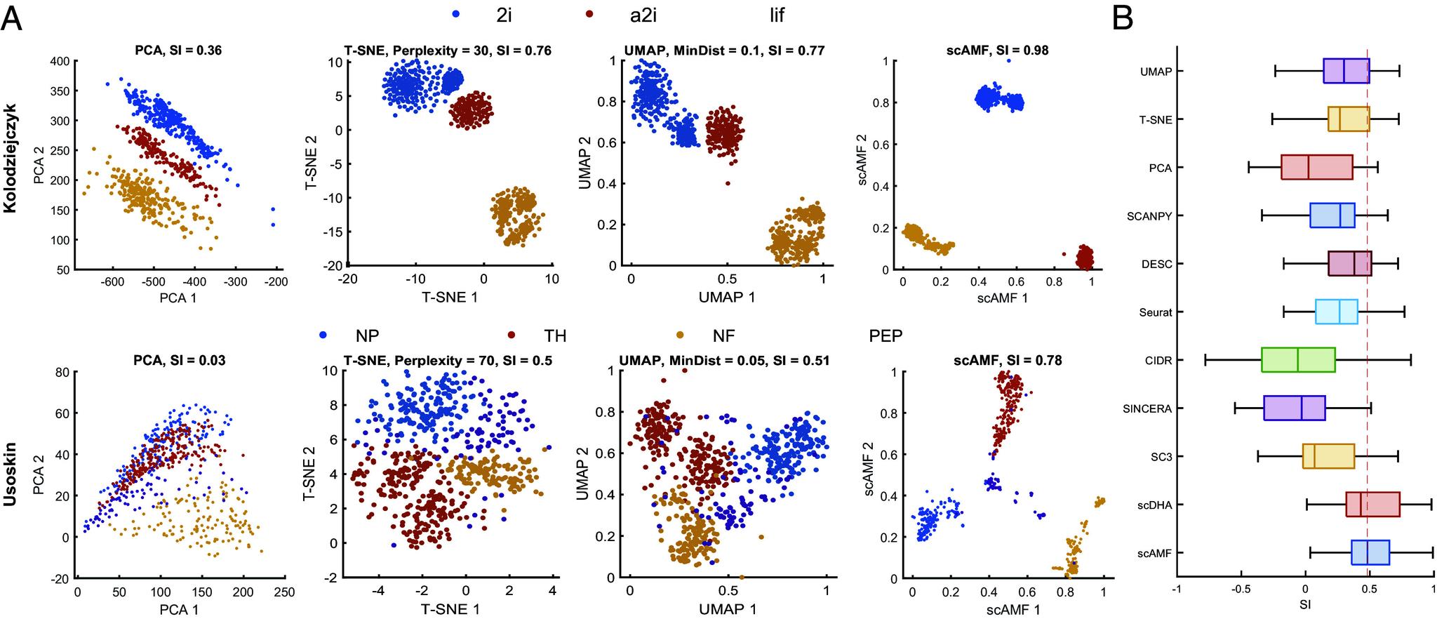 https://cdn.ncbi.nlm.nih.gov/pmc/blobs/3bc1/11406302/0f3fd9c2e4b9/pnas.2400002121fig05.jpg